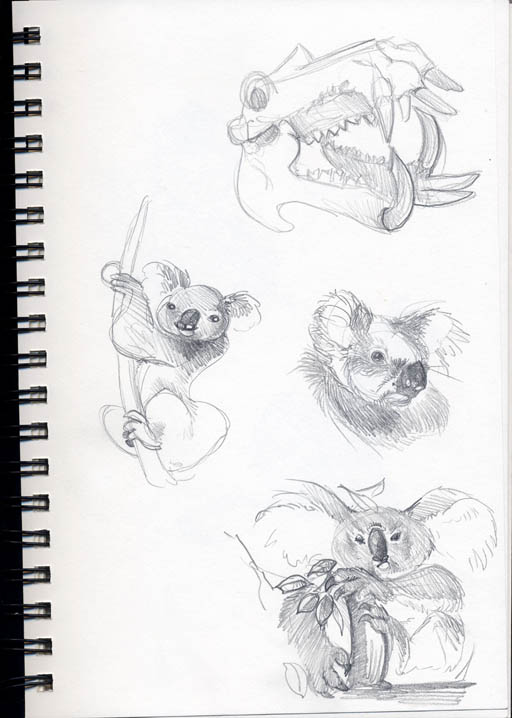 hippo-koalas
