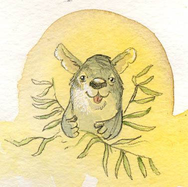koalaincolor