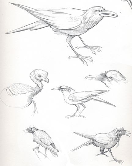 crowsandaturkey