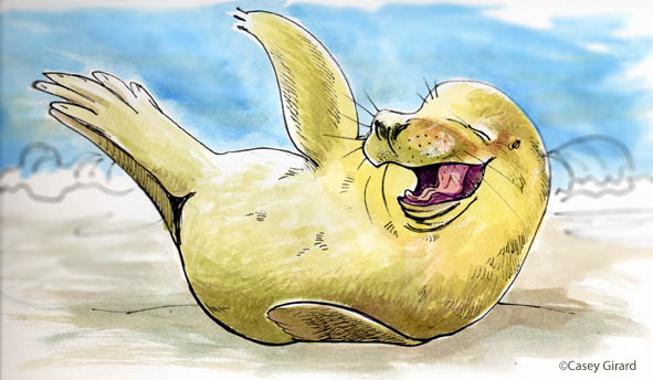 laughingseal
